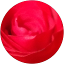 Foto de perfil de M Angels Angelats